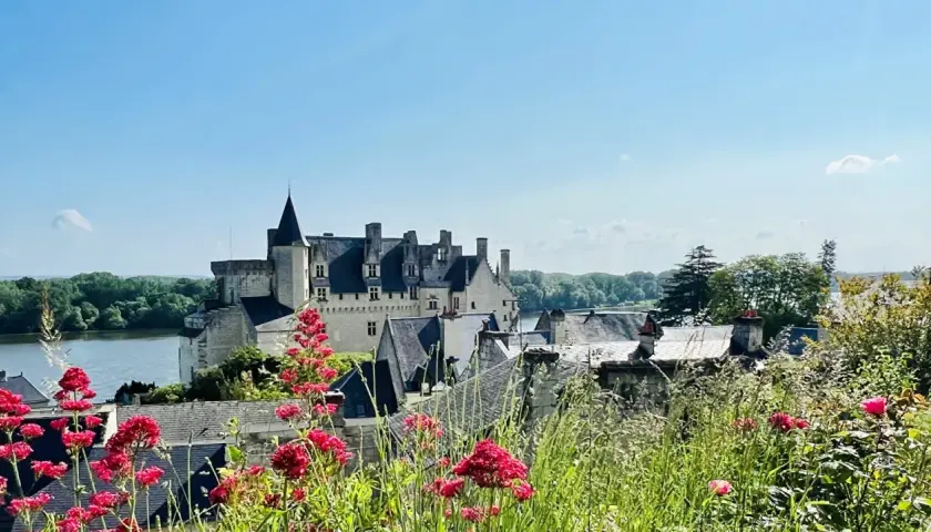 Vue d'un château sur une colline, avec des fleurs rouges au premier plan. Une belle journée pour une visite à Saumur.