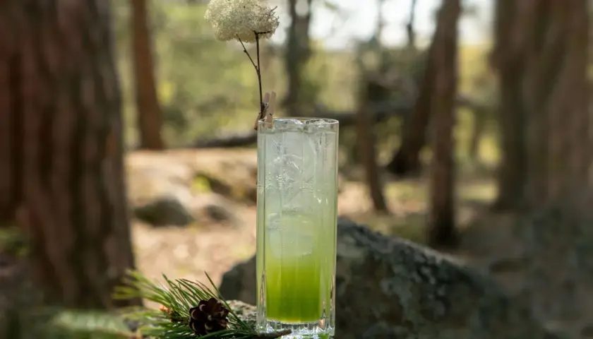 En uppfriskande granskottssirap drink med is, dekorerad med en torkad blomma och en kotte på en sten i skogen.