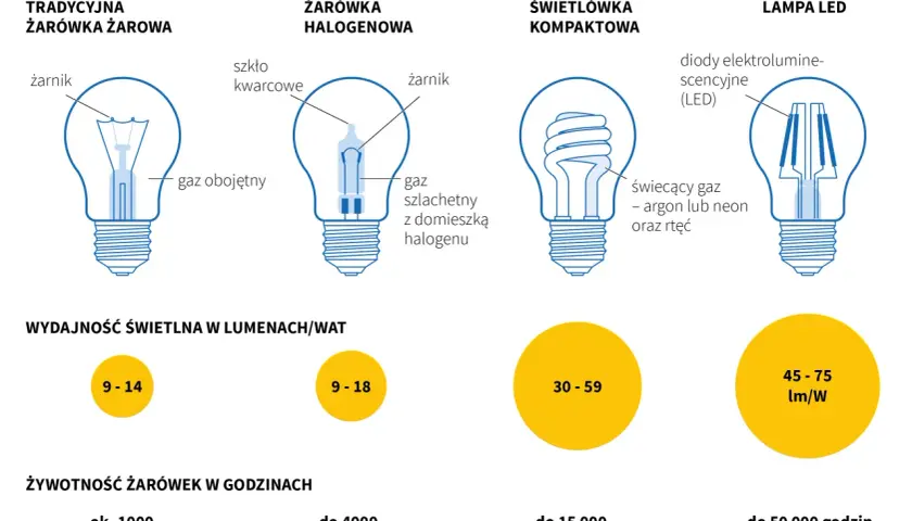 Gdzie wyrzucić żarówki? Rodzaj ma znaczenie! Poradnik eksperta