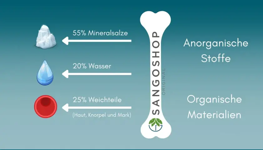 Grafik zeigt Zusammensetzung des menschlichen Knochens: 55% Mineralsalze, 20% Wasser, 25% Weichteile. Wichtig für den Knochenaufbau Mensch.