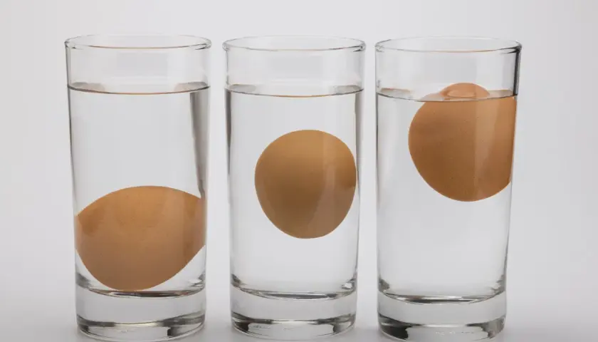 Trois verres d'eau montrent un œuf qui flotte à différents niveaux. L'œuf coule dans le premier verre, flotte au milieu et est presque entièrement hors de l'eau dans le troisième.