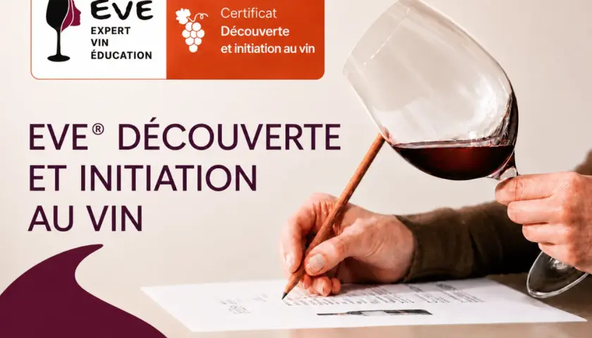 Un cours d'oenologie pour découvrir et s'initier au vin. Un verre de vin rouge est tenu par une main, tandis qu'une autre écrit sur un document.