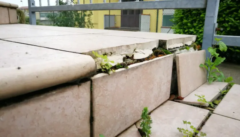 Piante spuntano tra le fessure di un pavimento sollevato, segno del tempo e della natura che si riprende i suoi spazi.