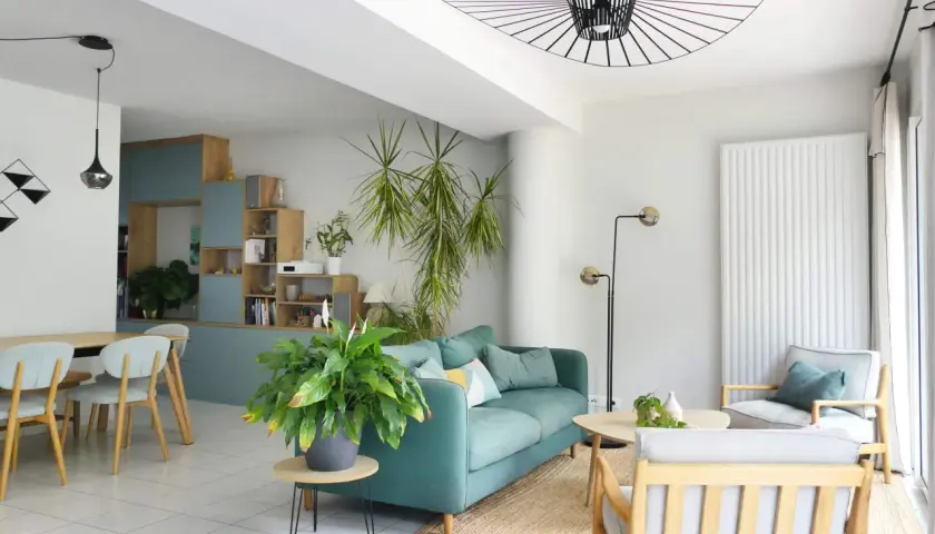 Aménagement de salon moderne avec canapé bleu sarcelle, fauteuil gris, table basse en bois et plantes vertes.