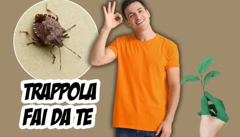 Cimice asiatica in primo piano, con testo "TRAPPOLA FAI DA TE". Uomo sorridente fa segno OK, mano verde tiene piantina.