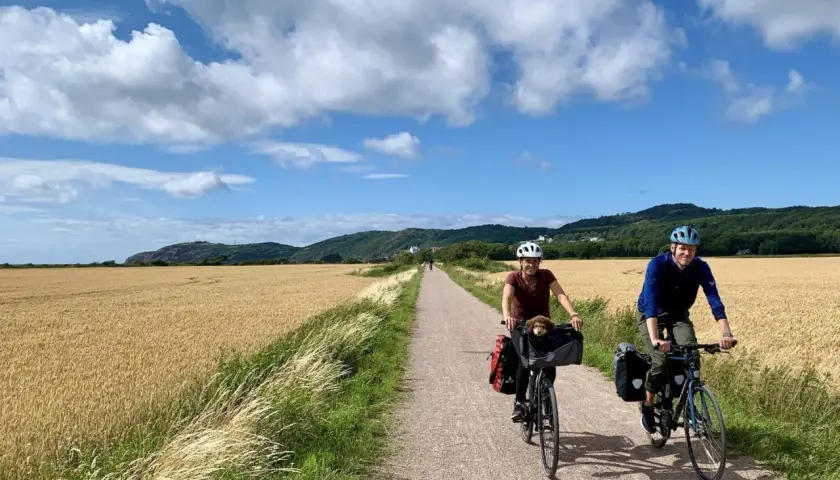 A couple enjoys a scenic bike tour in Sweden, cycling past golden fields under a bright, cloudy sky. A small dog peeks from a basket on one bike.