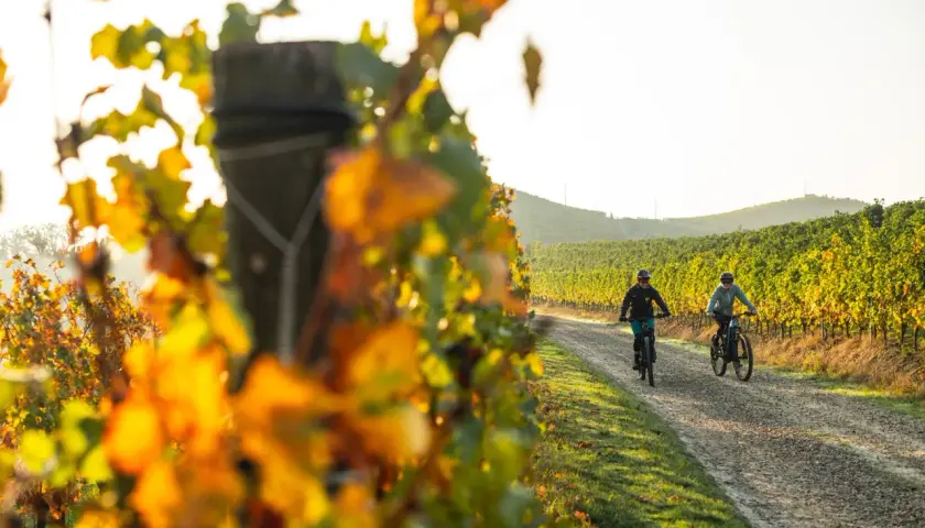 Due ciclisti pedalano su un sentiero sterrato tra i vigneti nelle Langhe, con le foglie autunnali che creano un vibrante contrasto.
