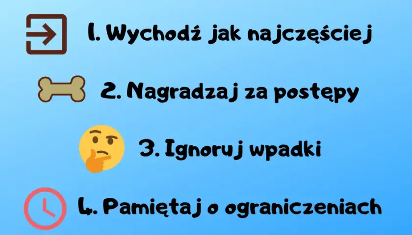 Nauka czystości szczeniaka: Poznaj plan na dom bez wpadek!