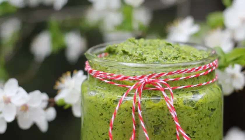 Słoik domowego pesto z czosnku niedźwiedziego, ozdobiony sznurkiem, na tle kwitnących drzew.