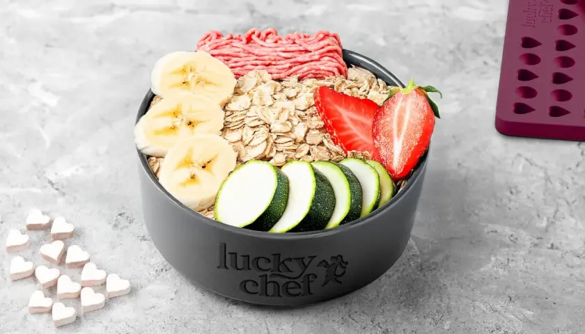 Zutaten für ein hundekekse rezept: Hackfleisch, Haferflocken, Bananenscheiben, Erdbeeren und Zucchinirad.