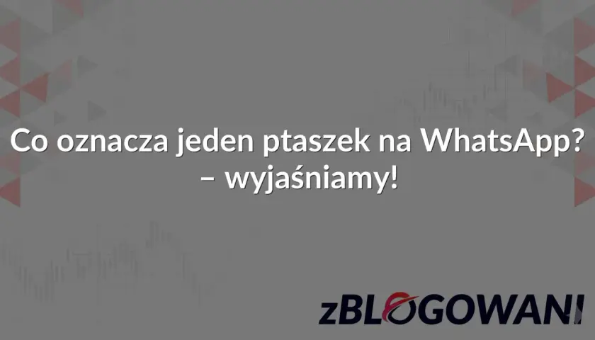 Co oznacza jeden ptaszek na WhatsApp? Wyjaśniamy! Tło z wykresami i logo zBLOGOWANI.