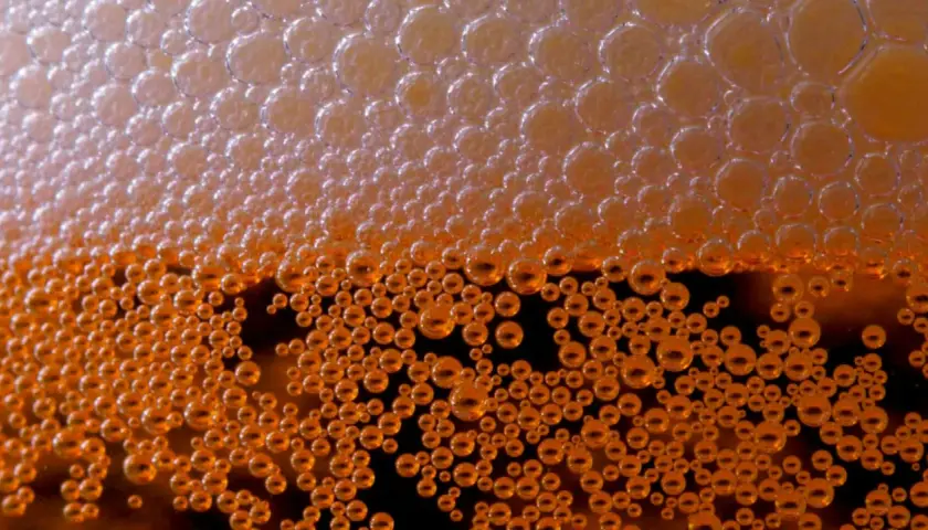 Bulles d'ibu beer, d'un orange doré, formant une mousse dense et pétillante.