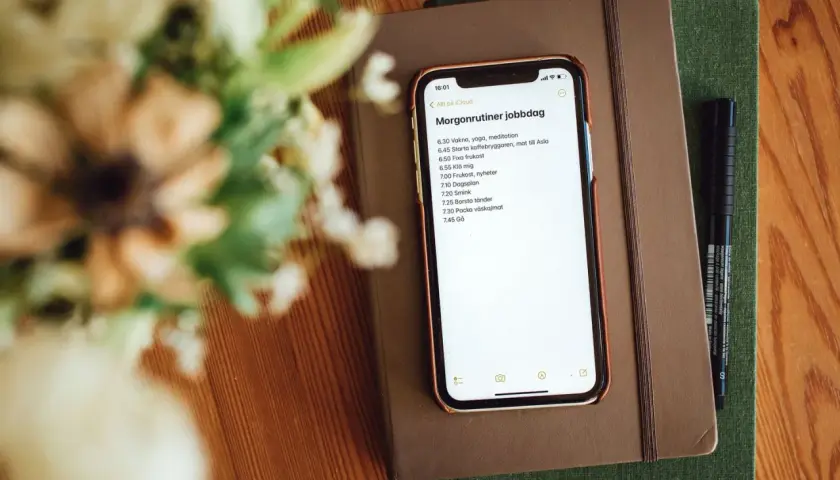 iPhone displaying a morning routine list on top of notebooks with a pen and flowers.