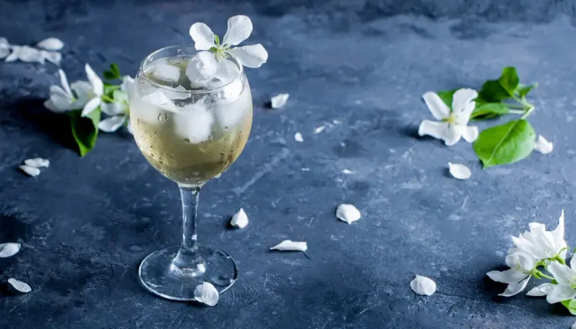 Ein Glas mit einem erfrischenden, eisgekühlten Getränk, garniert mit einer weißen Blüte. Zarte Blütenblätter liegen auf dem dunklen Untergrund. Ein sommerlicher porto tonico.