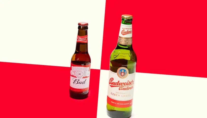 Deux bouteilles de bière, une Bud et une Budweiser Budvar, sur fond rouge et blanc.