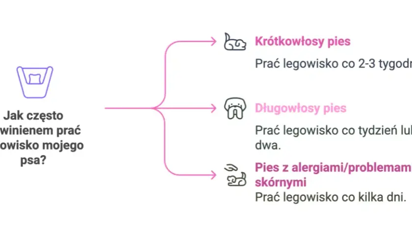 Jak prać legowisko psa? Praktyczny poradnik dla czystości