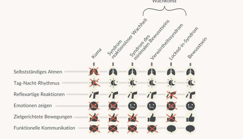 Schema zeigt verschiedene Stadien des Wachkoma, von Koma bis Bewusstsein, und deren Einfluss auf Funktionen wie Atmung und Kommunikation. Es illustriert den wachkoma sterbeprozess.