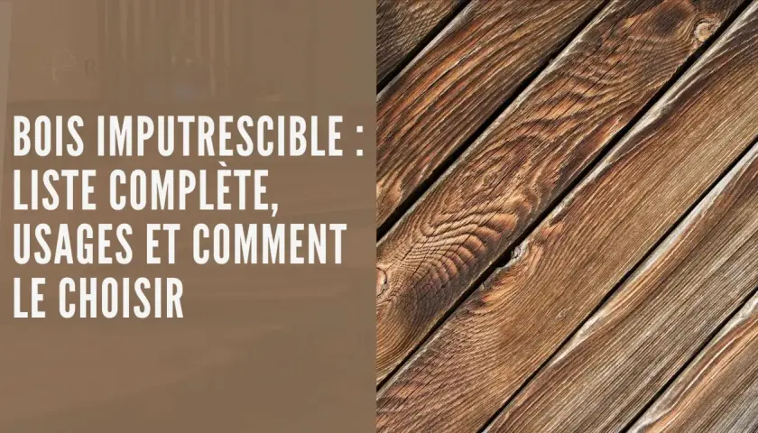 Gros plan sur des planches de bois naturel, texturées et vieillies, évoquant la durabilité du bois imputrescible.