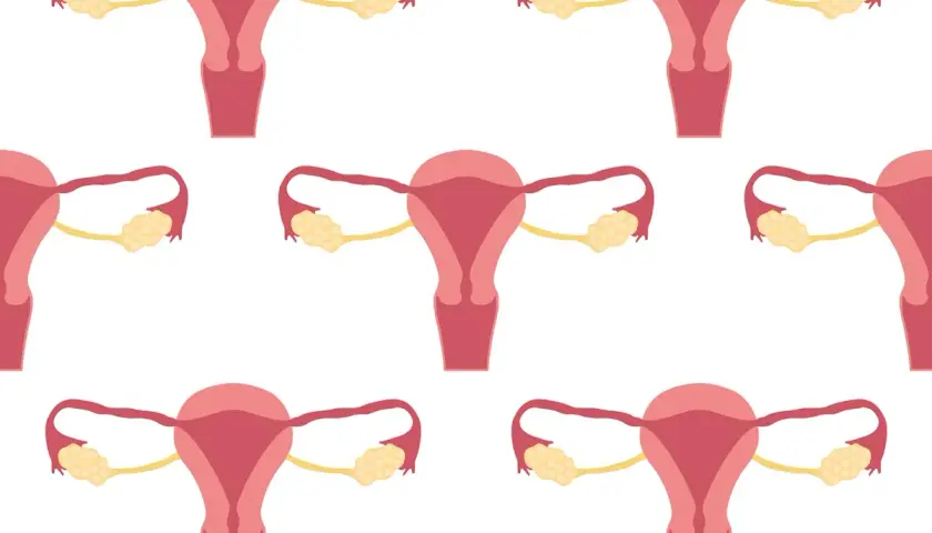 Schemat układu rozrodczego kobiety. Badanie CA 125 może pomóc w diagnostyce chorób ginekologicznych.