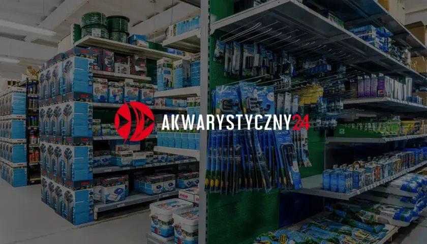 Najlepsze filtry do akwarium 120l – uniknij błędów w wyborze