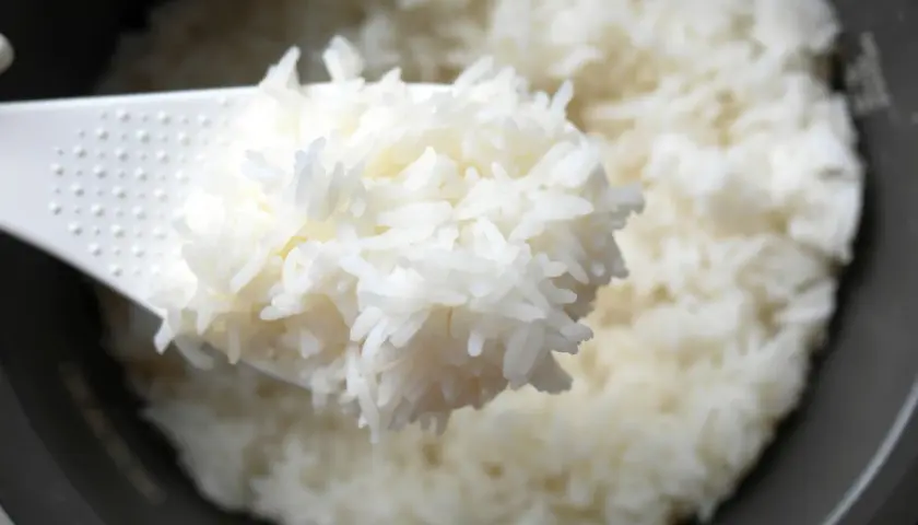 Fluffy white rice being scooped from a rice cooker. Perfect for learning how to pack rice for lunch.