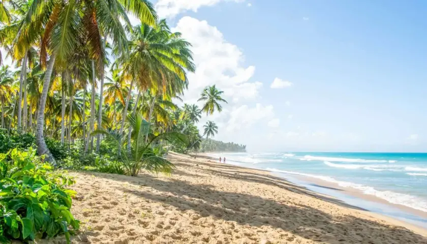 Puerto Plata: Odkryj najlepsze atrakcje i zaplanuj idealne wakacje