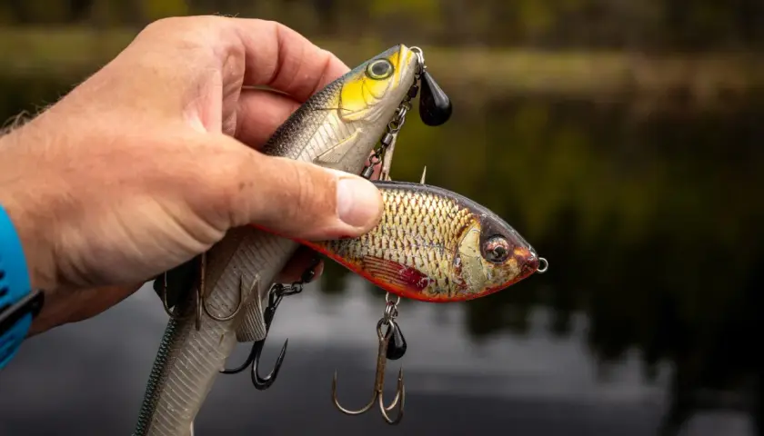 Dłoń trzyma dwie realistyczne przynęty wędkarskie w kształcie ryb. Wyglądają jak najlepsza przynęta na ryby, gotowa do łowienia.