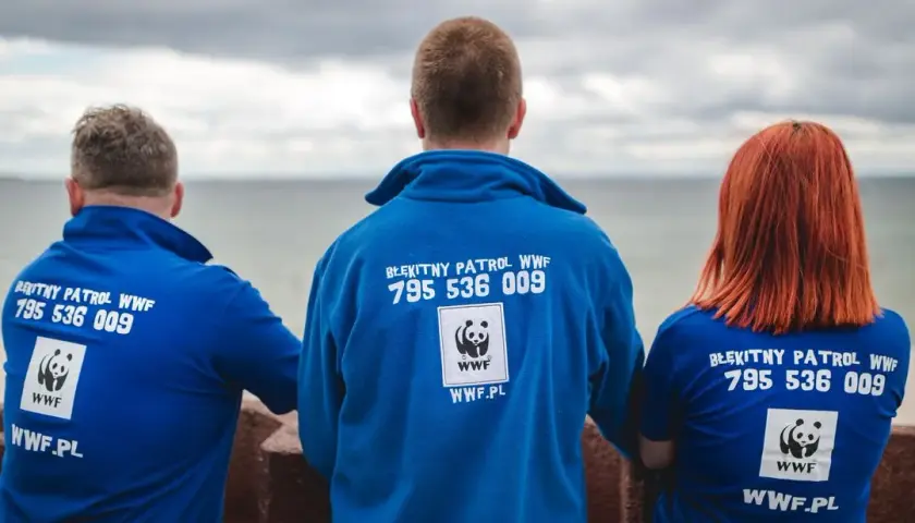Jak zostać wolontariuszem WWF i zmienić świat na lepsze