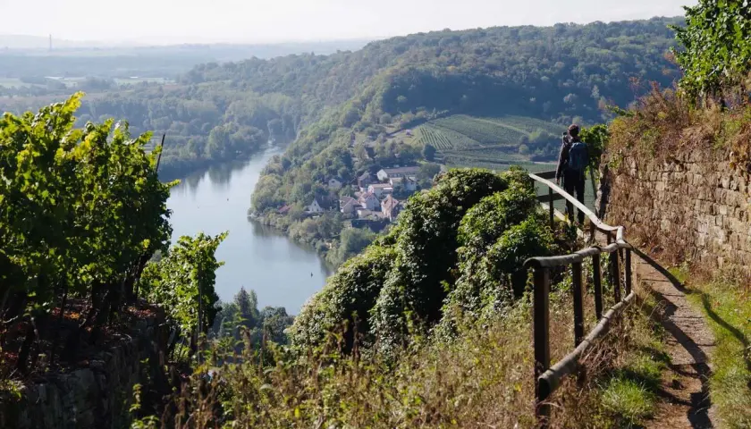 Wanderer auf einem Pfad mit Blick auf ein Dorf und einen Fluss, umgeben von Weinbergen. Ein schöner Ort zum Wandern, Ludwigsburg.