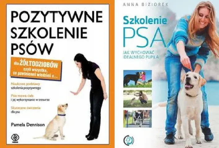 Domowe szkolenie psa: Poradnik krok po kroku dla każdego