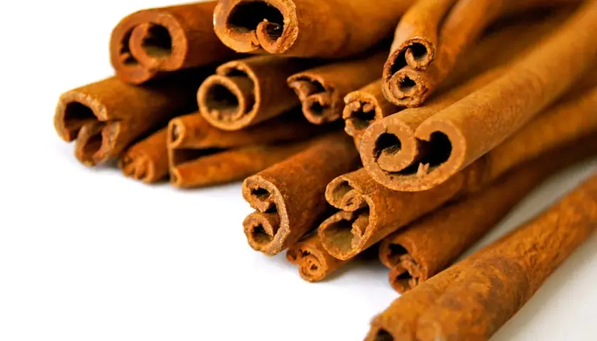 Canela en rama, un tesoro aromático con grandes beneficios de la canela para la salud.
