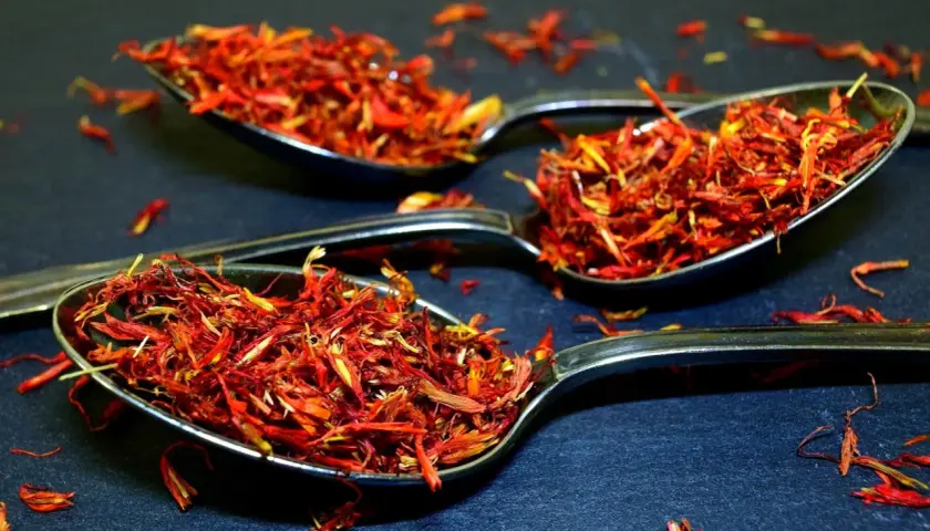 Trois cuillères remplies de filaments rouge orangé, une épice précieuse.