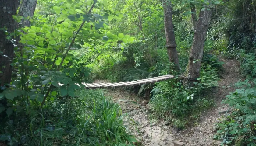 Puente de madera sobre un arroyo seco en un bosque frondoso de las Gavarres.