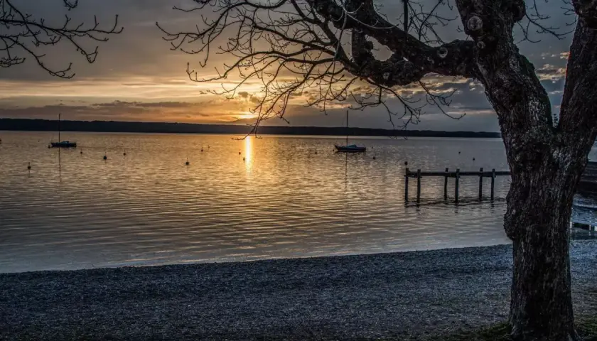 Sonnenuntergang am Ammersee. Ein Baum im Vordergrund, Boote auf dem Wasser und ein Steg.