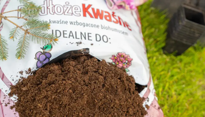 Ziemia lekko kwaśna, idealna do iglaków i roślin wrzosowatych, wysypana z worka na trawę.