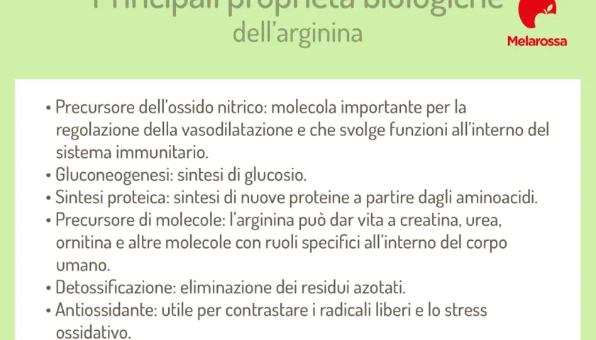 Principali proprietà biologiche dell'arginina: precursore ossido nitrico, sintesi proteica, detossificazione. Quando assumerla? Utile per contrastare stress ossidativo.