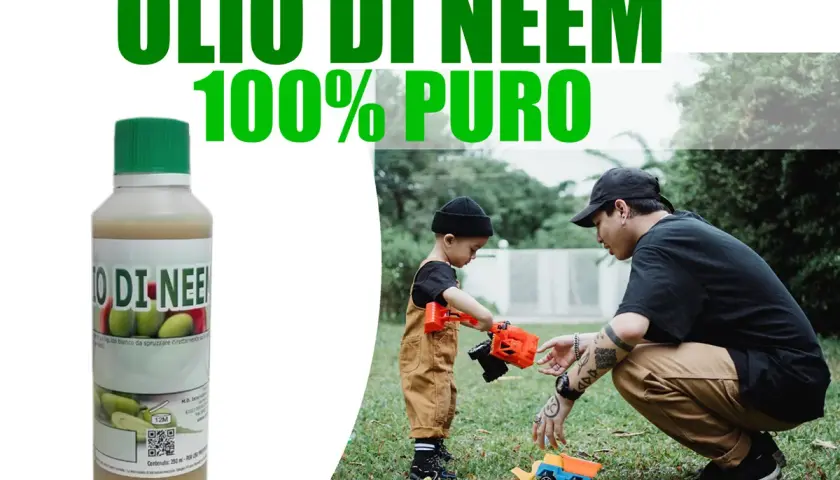 Olio di neem 100% puro, utile per la cura delle piante e per proteggere la casa. Un padre gioca con il suo bambino in giardino.
