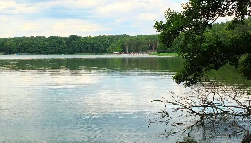 Spokojne mirim jeziora odbija zielony las i niebo. Na brzegu plaża z ludźmi i drzewa.