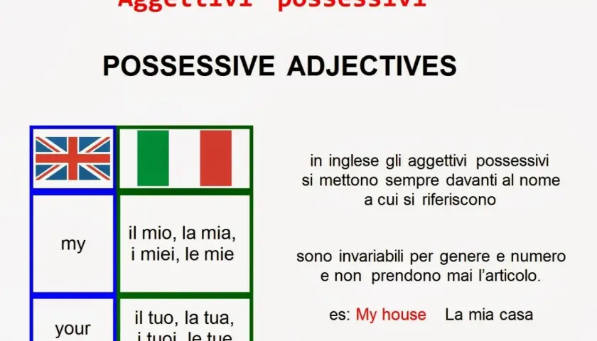 Impara quali sono gli aggettivi possessivi in inglese: "my" e "your", con esempi e traduzioni.
