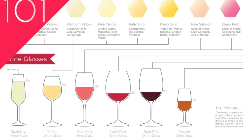 Un tableau millésime vin illustre les couleurs des vins blancs, rosés et rouges, associées à des verres et des calories.