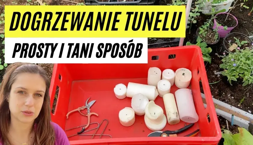 Jak ogrzać tunel foliowy w razie przymrozków i uratować rośliny