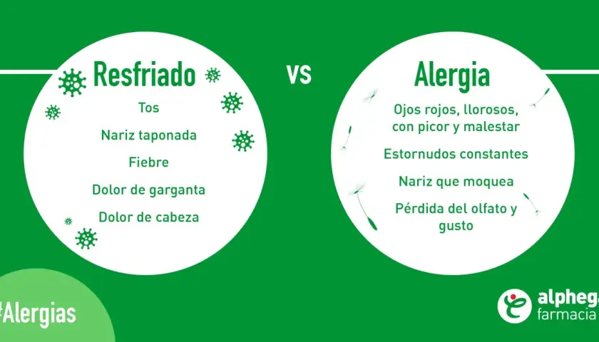 Compara síntomas: el resfriado puede causar fiebre, pero la alergia también. Ojos llorosos, estornudos y picor son comunes en alergias.