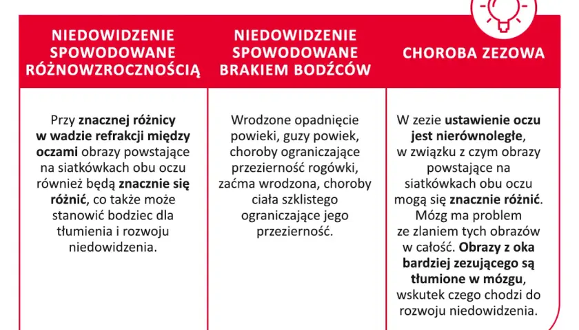 Obraz przedstawia przyczyny niedowidzenia: różnowzroczność, brak bodźców i zez. Leniwe oko może być wynikiem tych schorzeń.