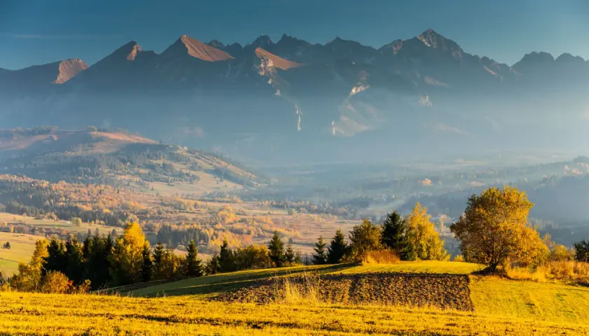 Jesienny krajobraz z widokiem na Tatry, mgła otula doliny, a złote pola i drzewa tworzą malowniczą scenerię w okolicach Zakopanego i Niedzicy.