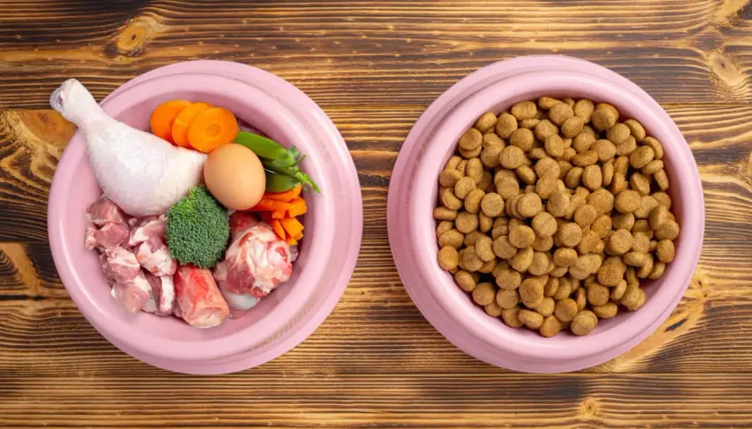 Dos tazones de comida para perros: uno con ingredientes frescos para una dieta natural para perros (pollo, carne, huevo, zanahoria, brócoli) y otro con pienso seco.