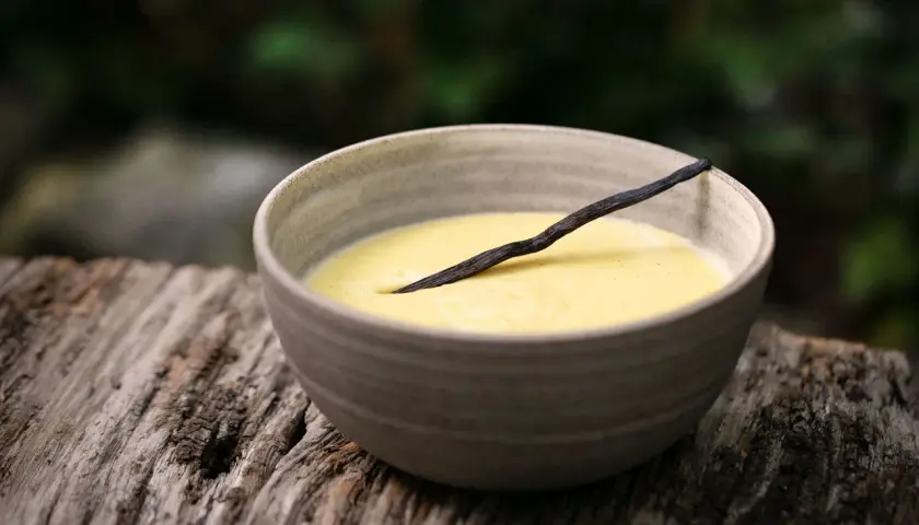 Schüssel mit cremigem Vanillepudding, garniert mit einer Vanilleschote. Perfekt, um Pudding selber machen zu lernen.