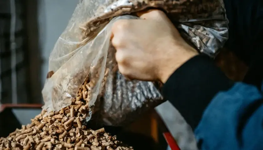 Ręka wsypuje pellet z trocin z worka. Tak powstaje ekologiczne paliwo.