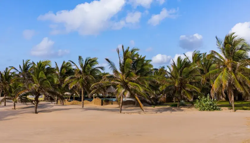 Piękne kenia plaże z palmami kołyszącymi się na wietrze. Słońce ogrzewa złoty piasek, a błękitne niebo z białymi chmurami zaprasza do odpoczynku.