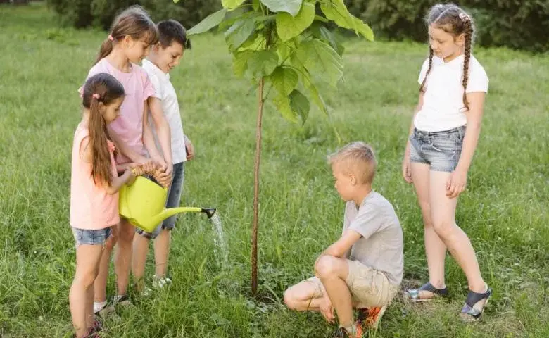 Czy wolontariat daje punkty na studia? Odkryj jego prawdziwą wartość