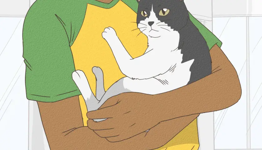 Persona abraza un gato blanco y negro. El gato parece feliz y cómodo. Quizás necesite pienso para gatos sin dientes.